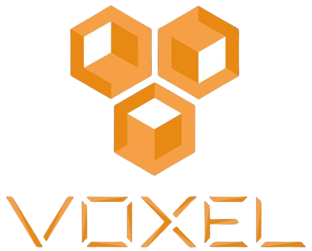 Voxel